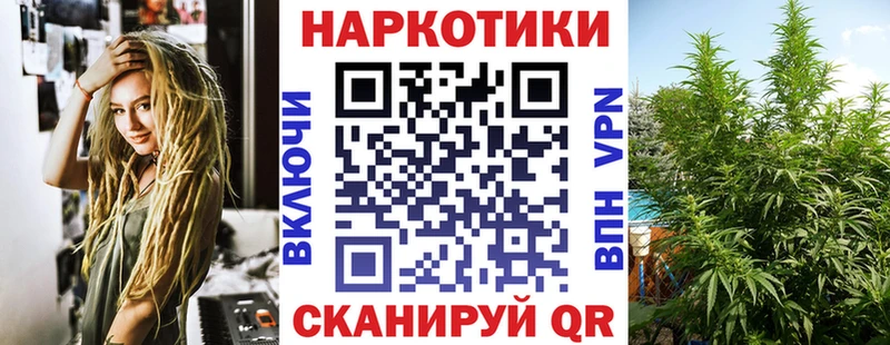 Где купить наркоту Новотитаровская COCAIN блэк спрут ссылка Псилоцибиновые грибы Конопля Мефедрон
