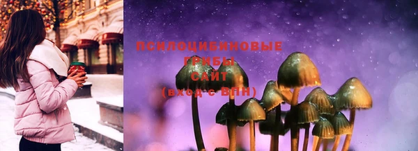 дмт Армянск