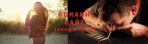 прущие грибы Арсеньев