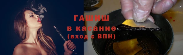 прущие грибы Арсеньев