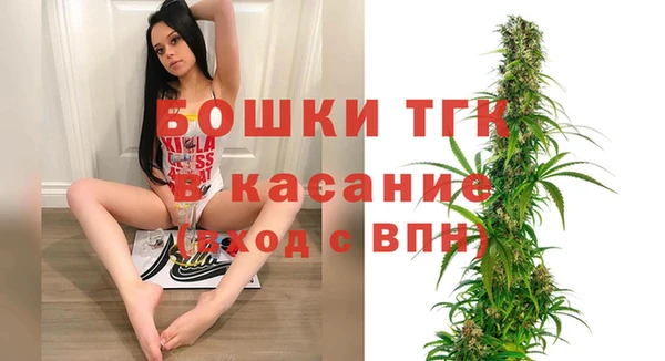 прущие грибы Арсеньев