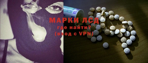 прущие грибы Арсеньев