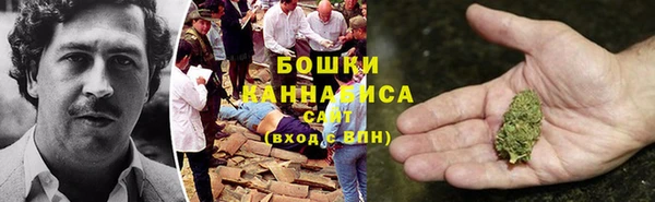 прущие грибы Арсеньев