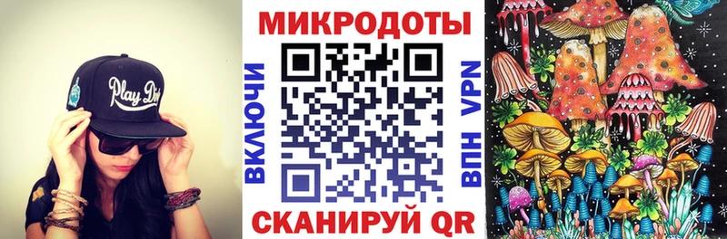 Псилоцибиновые грибы Cubensis  Новотитаровская 